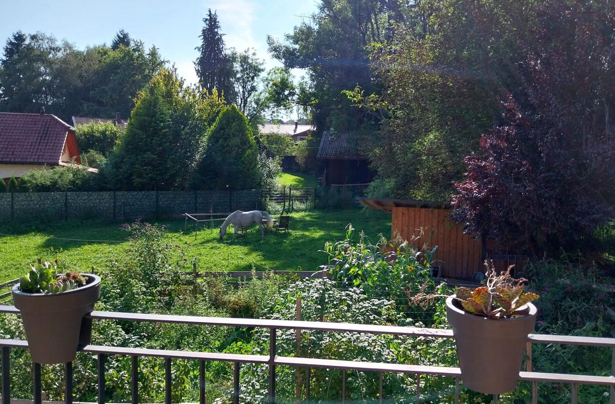 Kempten Mit Bauernhof-Flair Екстер'єр фото
